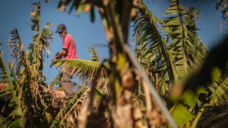 El Cabildo de La Palma pone en marcha un servicio gratuito de transporte por carretera para acceder a fincas