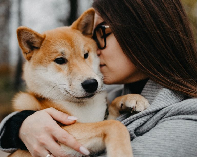 El motivo por el que no debes abrazar a tu perro