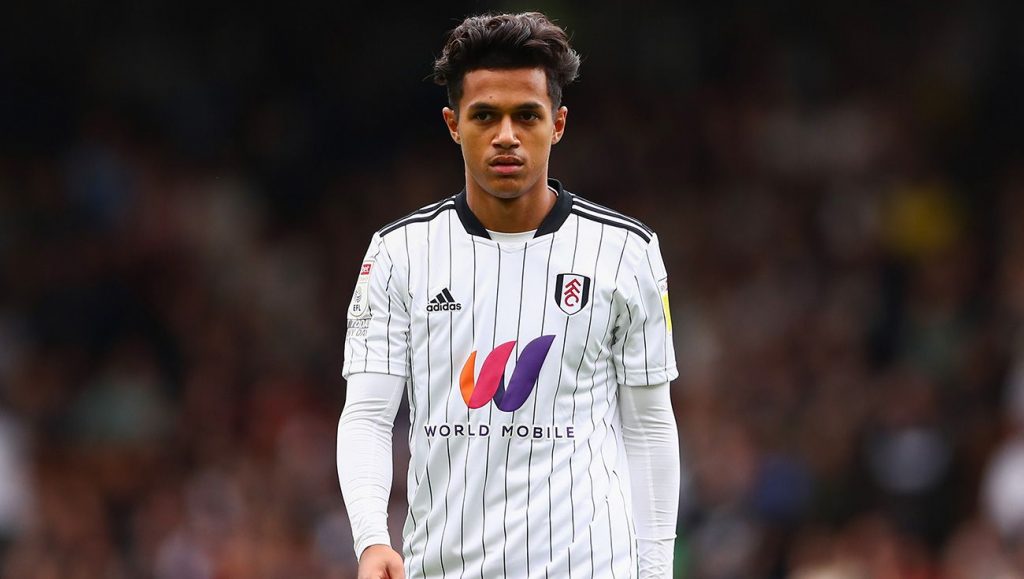 La guerra a muerte por Fabio Carvalho