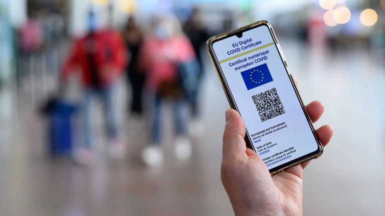 Gobierno vasco no entiende que el TSJPV rechace prorrogar el pasaporte covid