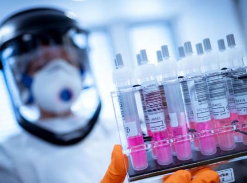 Investigadores de la Universidad de Oxford crean el mayor árbol genealógico humano de la historia