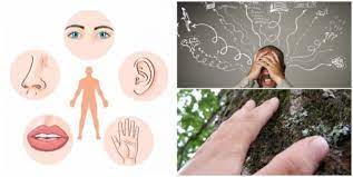 Qué es la hiperestesia 1 ¿Qué es la hiperestesia?