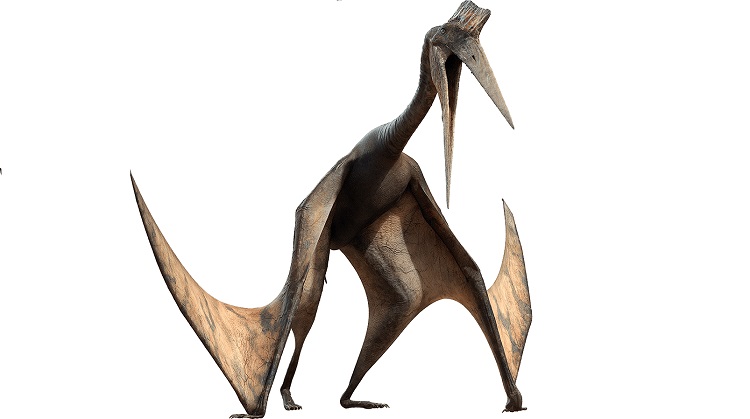 10 terroríficos animales prehistóricos que no eran dinosaurios