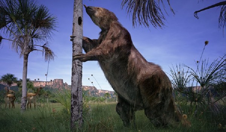 10 terroríficos animales prehistóricos que no eran dinosaurios