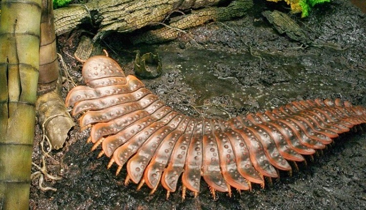 10 terroríficos animales prehistóricos que no eran dinosaurios