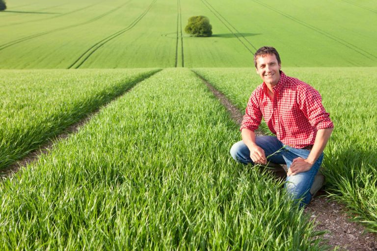 ¿Qué recomendaciones existen para ahorrar en una explotación agrícola?, por Agbar