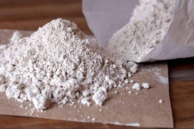 Tierra de Diatomeas, fuente natural de silicio orgánico para consumo humano