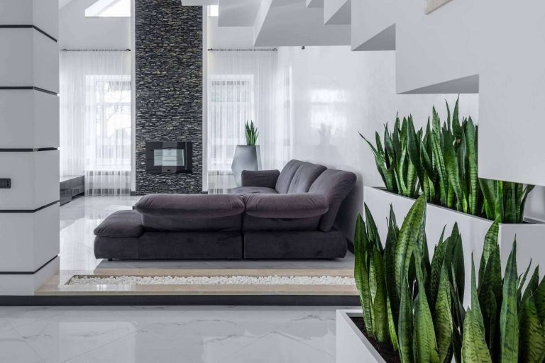 Casas que aumentan un 60 % el bienestar de las personas, de la mano de PAM-POL