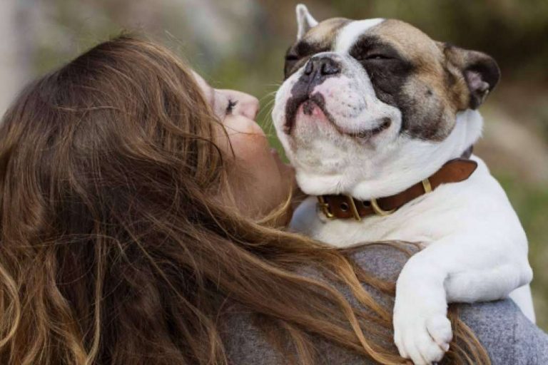 Alimentación saludable para perros y gatos con CRU