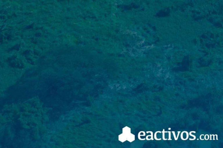 Eactivos.com publica más de 30 subastas de terrenos en la provincia de Tarragona