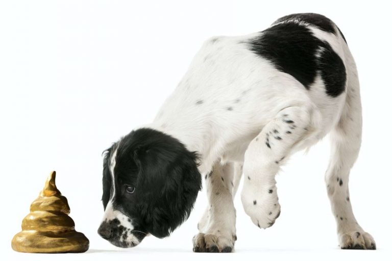 El storytelling como herramienta para plantear cambios a gran escala