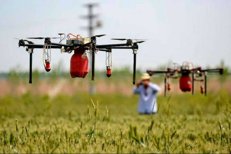 Realizar el curso de teledetección de agricultura de la mano de Aeroescuela Xtreme