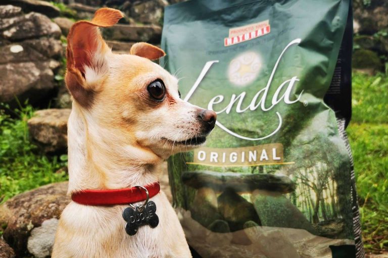 Las ventajas del pienso natural para perros