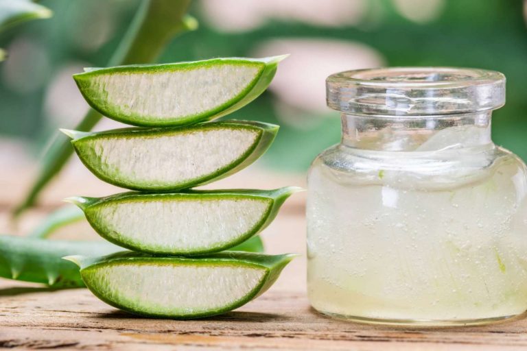 Beneficios del aloe vera en la cosmética de CrisEssens