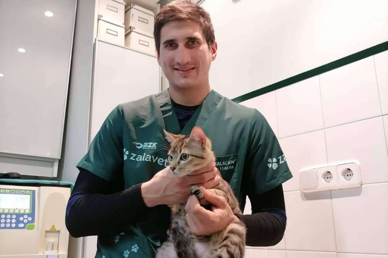 La importancia de cuidar la alimentación de las mascotas, por Zalavet