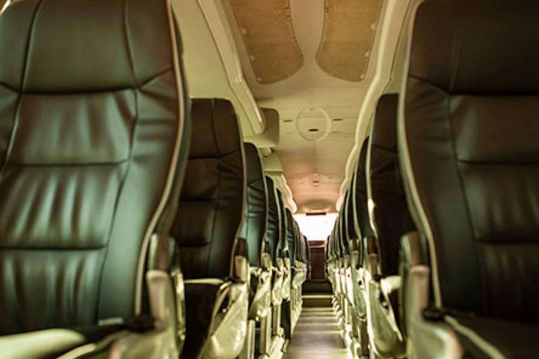 Las actividades se pueden realizar con un minibus vip, según Badabus