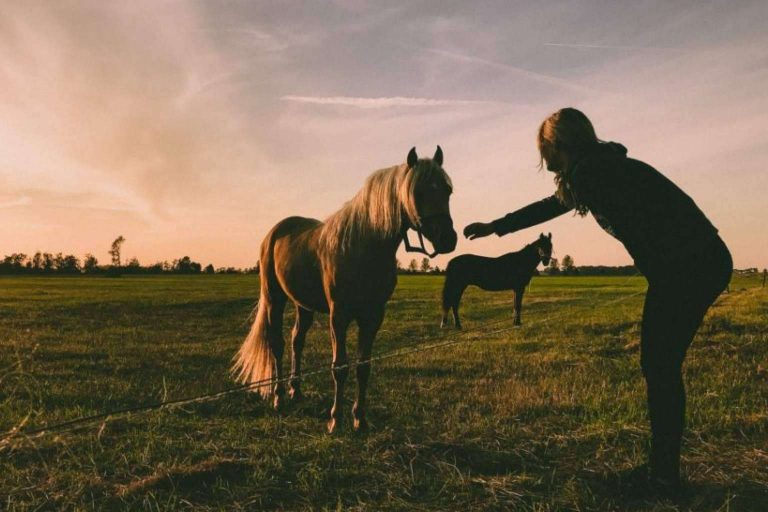 Relintre destaca la importancia del marketing rural en el sector