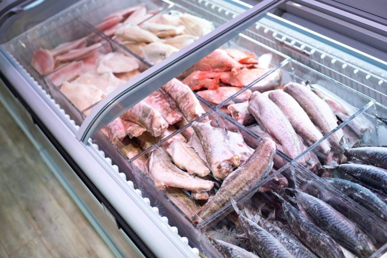 Auxihostelería ofrece una gran variedad de congeladores industriales