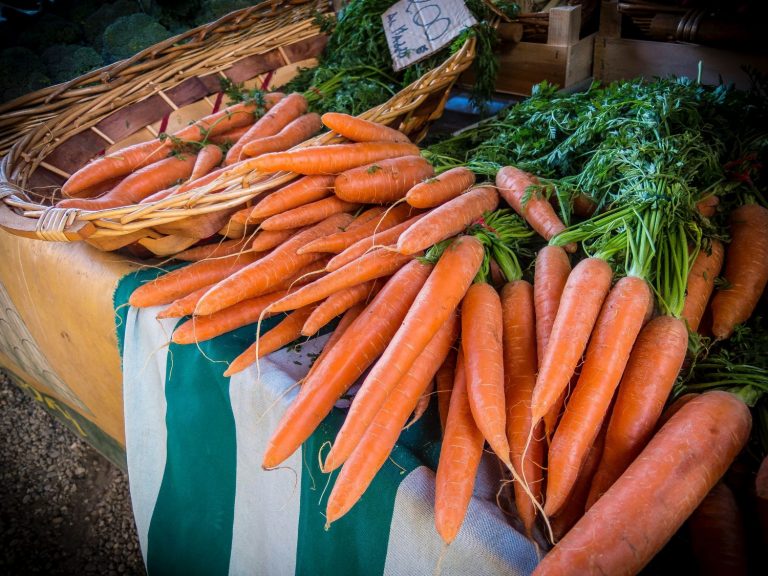 Se acabó el mito de las zanahorias y el bronceado: la protección solar es insustituible