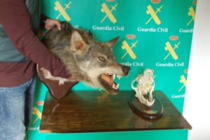 Organizaciones animalistas piden prohibir el comercio de trofeso de caza en España