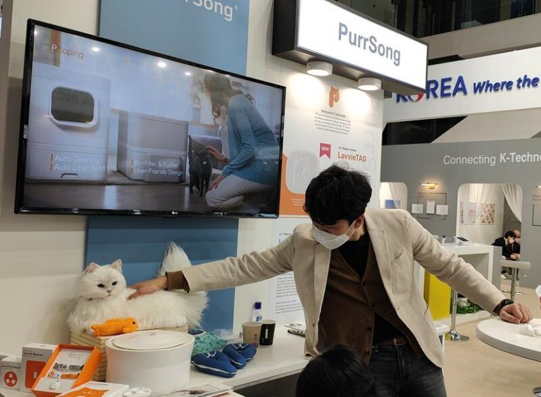 Así es LavvieTAG, el 'wearable' para gatos que mide su actividad física y detecta síntomas de enfermedades