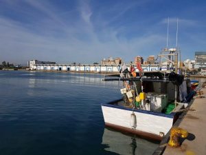 Pescadores valencianos denuncian que salir al mar es inviable porque dedican el 80% de gastos al gasóleo