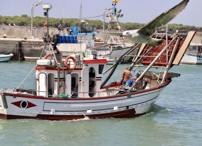 La Eurocámara pide más protecciones para los derechos de pesca europeos en aguas británicas