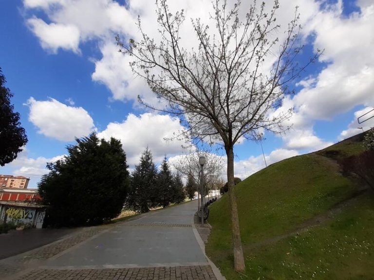 Hoy, día nuboso. El tiempo del 6 de marzo