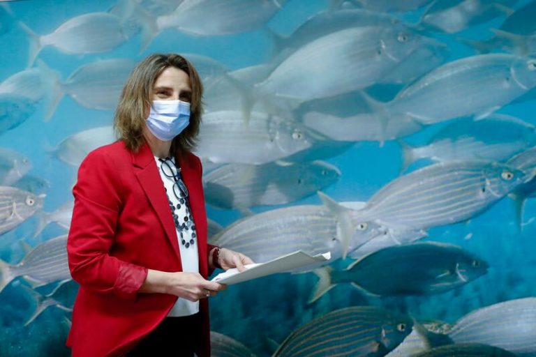 Ribera y Cormann coinciden en la apuesta por las renovables para la independencia energética