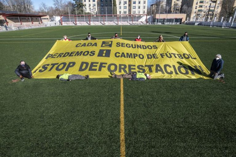ONG ambientales denuncian que la industria está presionando para debilitar la ley para contra la deforestación importada