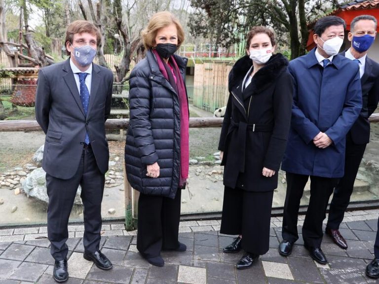La Reina Sofía desafía a la lluvia para conocer a los nuevos osos pandas gemelos del Zoo de Madrid