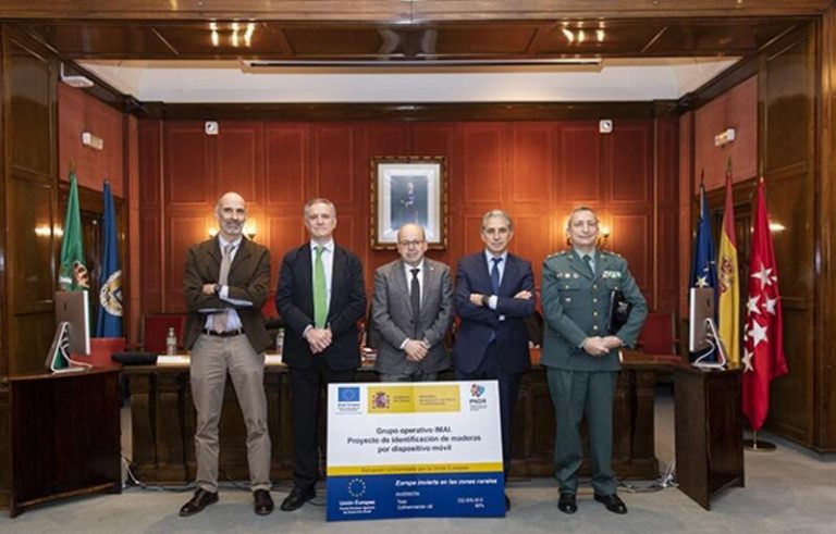 Desarrollan una app que identifica los tipos de madera para evitar la tala ilegal