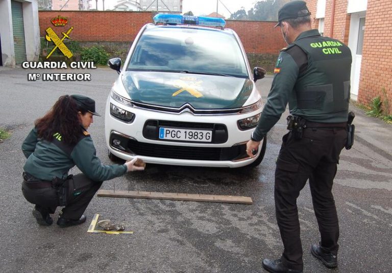Investigado el presunto integrante de un piquete del paro en el transporte por arrojar piedras en la AP-9 en Barro