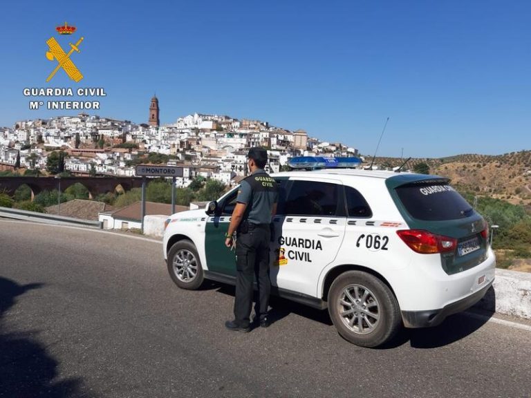 Tres detenidos en La Rambla por apropiarse de 519 kilogramos de aceitunas y falsificar documentos