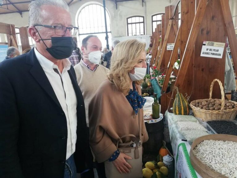 Mallada exige a Barbón medidas urgentes para atajar los daños de la fauna salvaje en el cultivo de faba asturiana