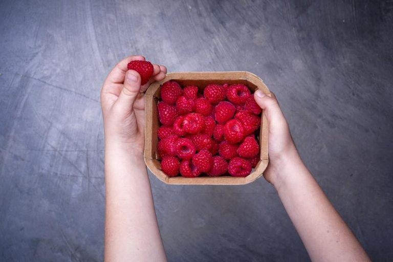 Hinojosa factura 644 millones en 2021, un 50% más que en 2020