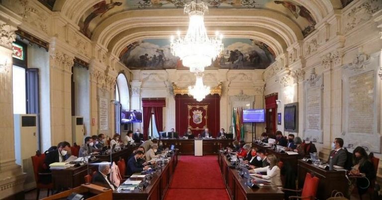 El Pleno de Málaga insta por unanimidad a Medel a delegar sus funciones ejecutivas de Fundación Unicaja