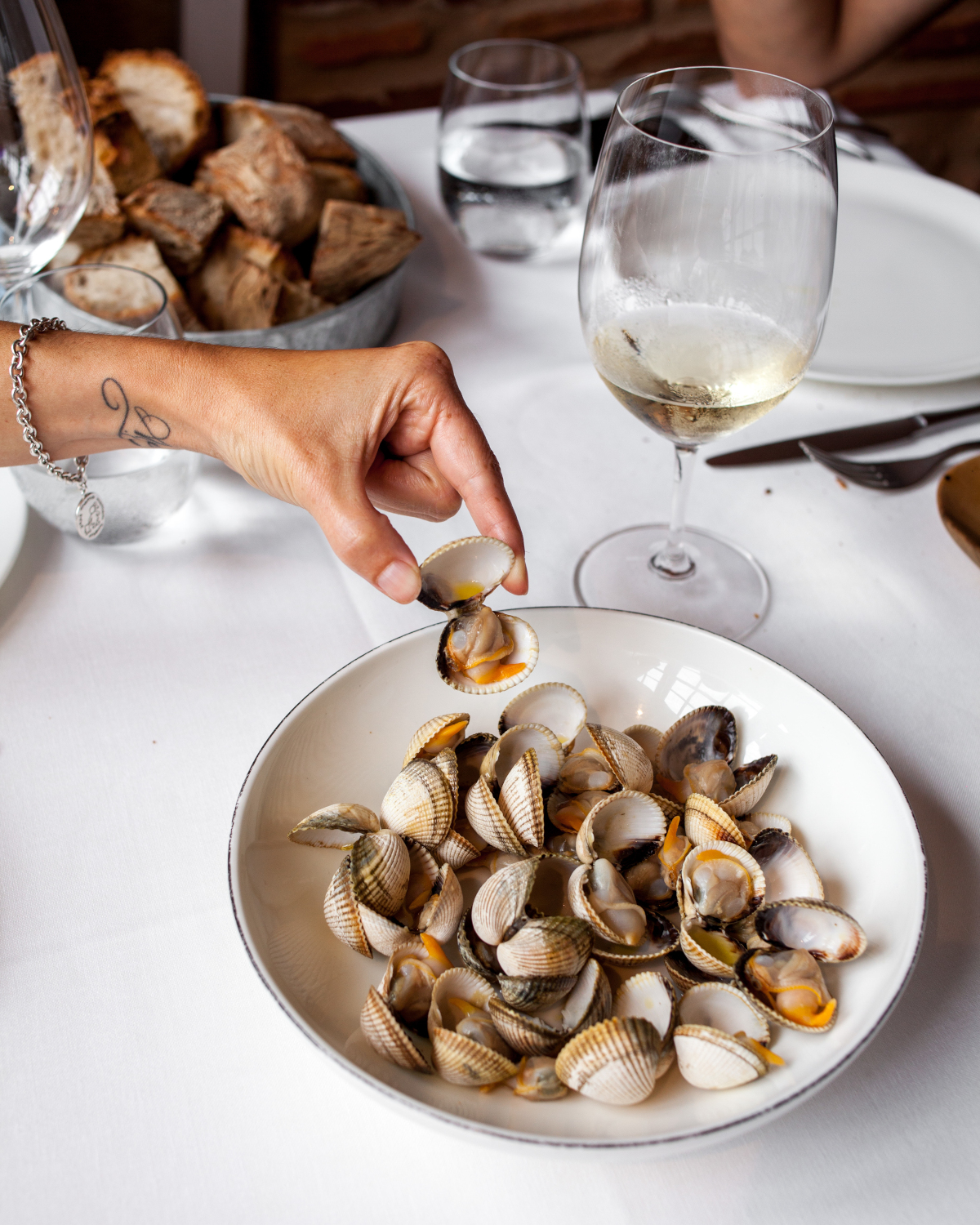 AMUNDINA BERBERECHOS43 copia