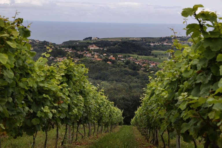Mar de Fondo 2020, un vino que homenajea al Cantábrico en estado puro