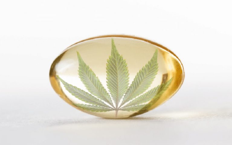 Una nueva era para los consumidores españoles de CBD después de que la UE agregó el CBD a la base de datos CosIng