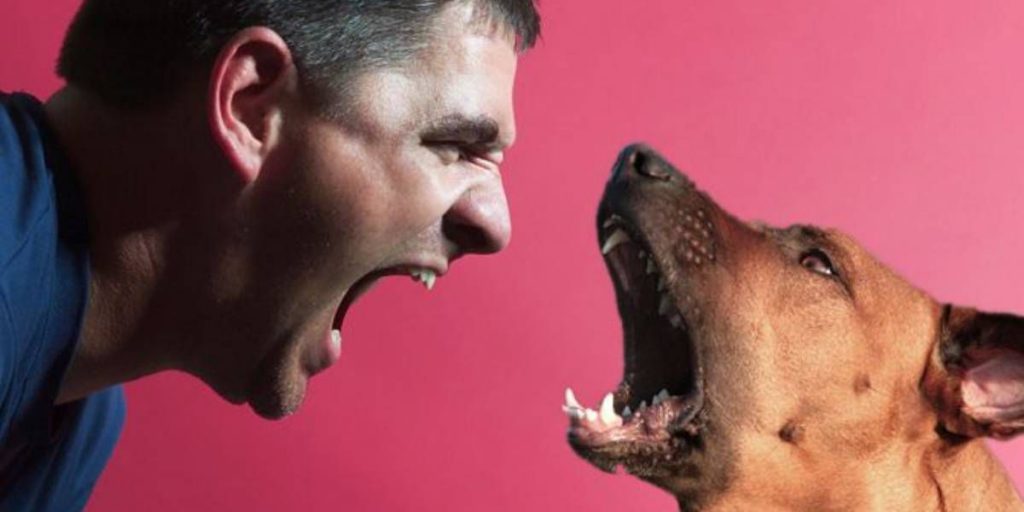 El motivo por el que no debes ladrar a tu perro 10