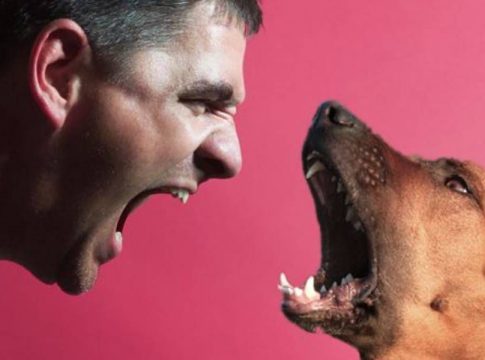 El-motivo-por-el-que-no-debes-ladrar-a-tu-perro-10 El motivo por el que no debes ladrar a tu perro