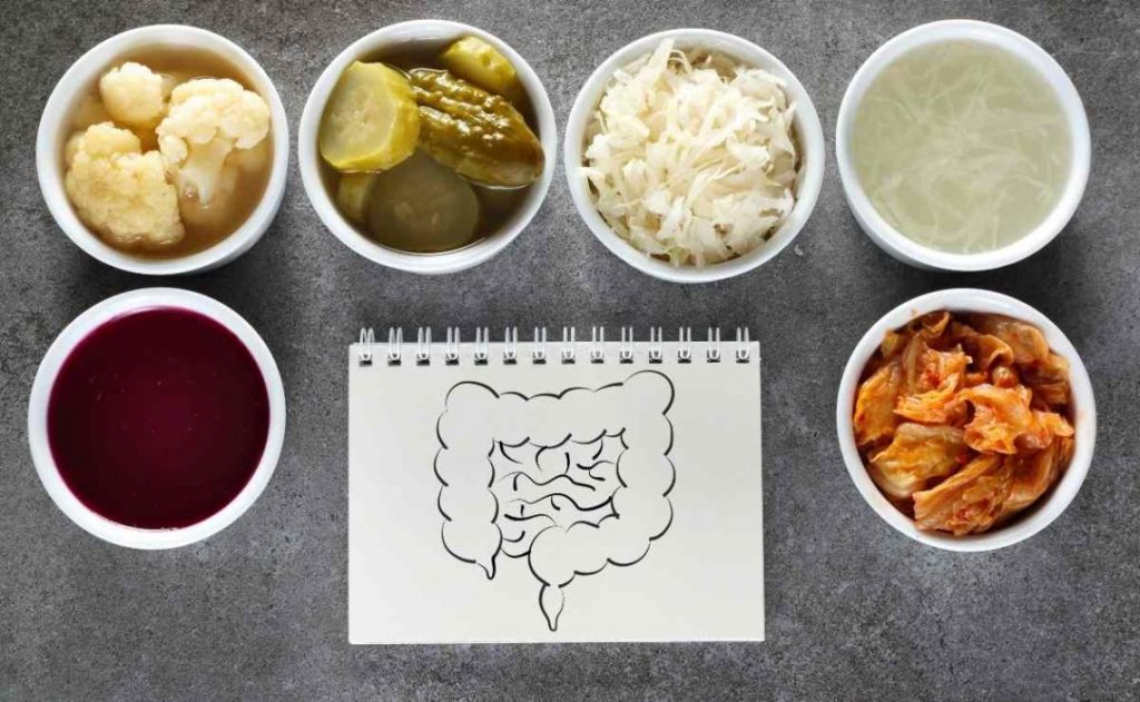 El probiótico que debes tomar para que los antibióticos hagan efecto 61 ¿Qué es un probiótico?