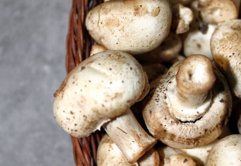 El truco para descubrir si los champiñones están malos