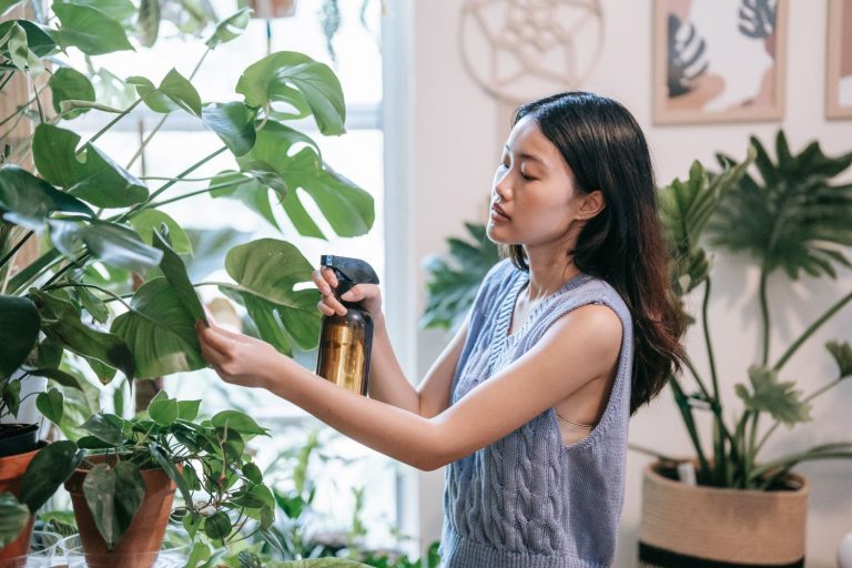 5 ideas para decorar tu restaurante con plantas