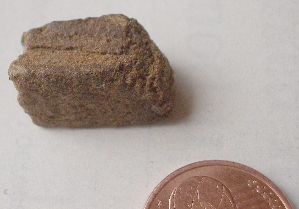 El curioso motivo por el que la policía no te puede multar