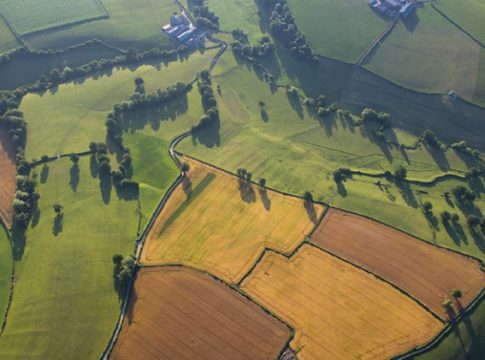 Investigadores de la UIB estudian vientos del verano con fotografías para reconstuir escenarios climáticos