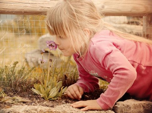 Los científicos encuentran formas de estudiar y reconstruir los olores del pasado