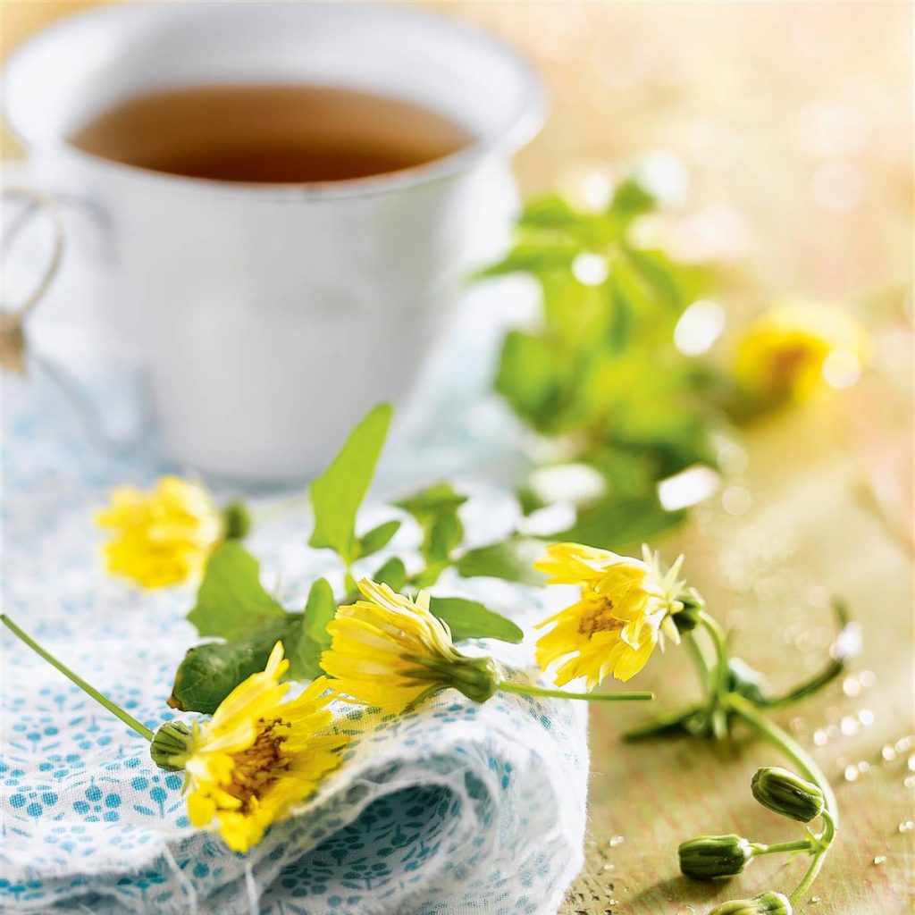 Los mejores alimentos para limpiar tus riñones de tóxicos 106 Tienes que seleccionar muy bien los hidratos que consumes