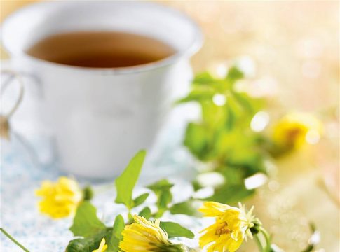 Los-mejores-alimentos-para-limpiar-tus-rinones-de-toxicos-8